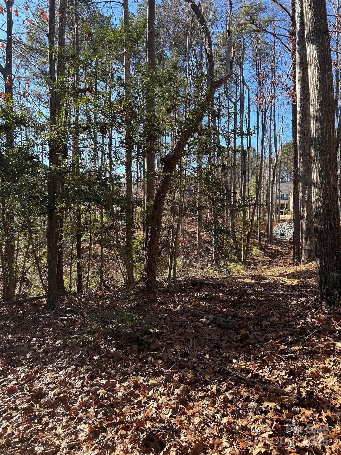 0 Spindrift Cove, Unit 59 Denver, NC 28037 - Photo 13 of 14