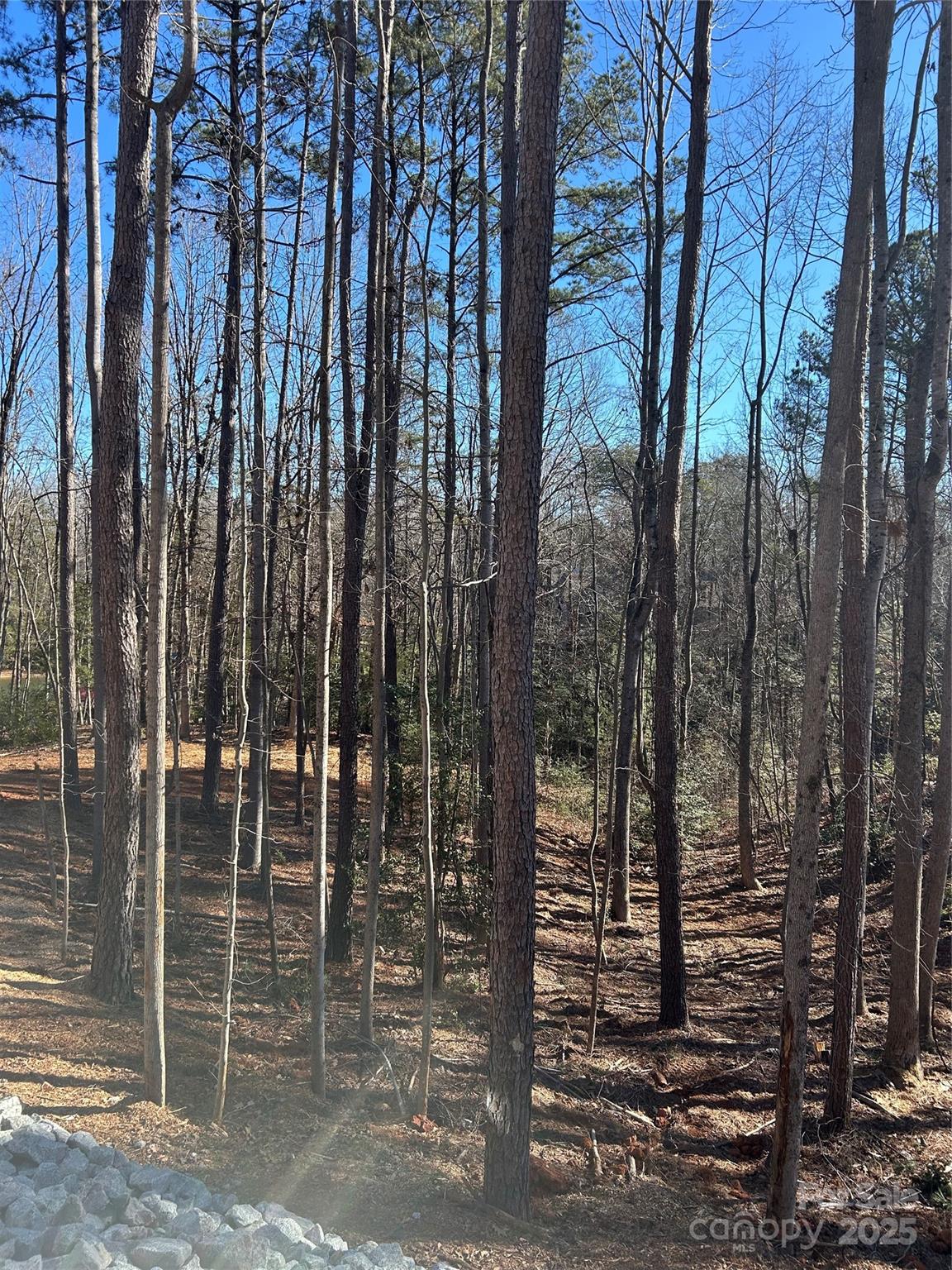 0 Spindrift Cove, Unit 59 Denver, NC 28037 - Photo 14 of 14