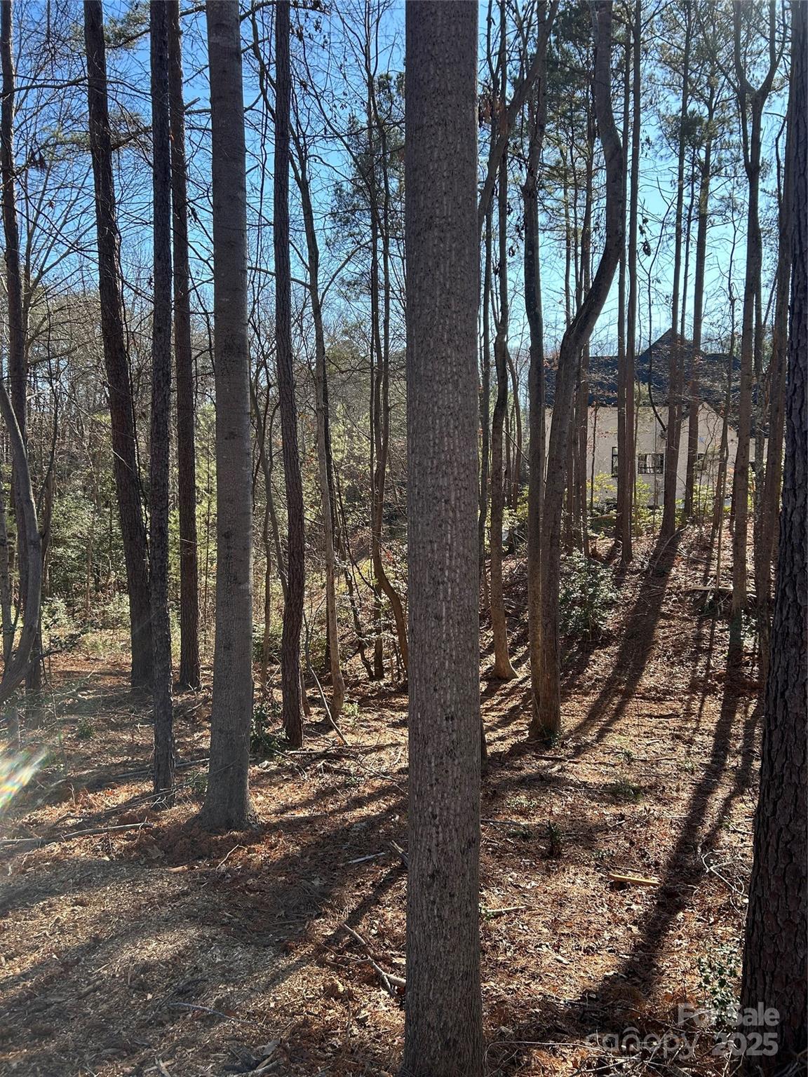 0 Spindrift Cove, Unit 59 Denver, NC 28037 - Photo 8 of 14