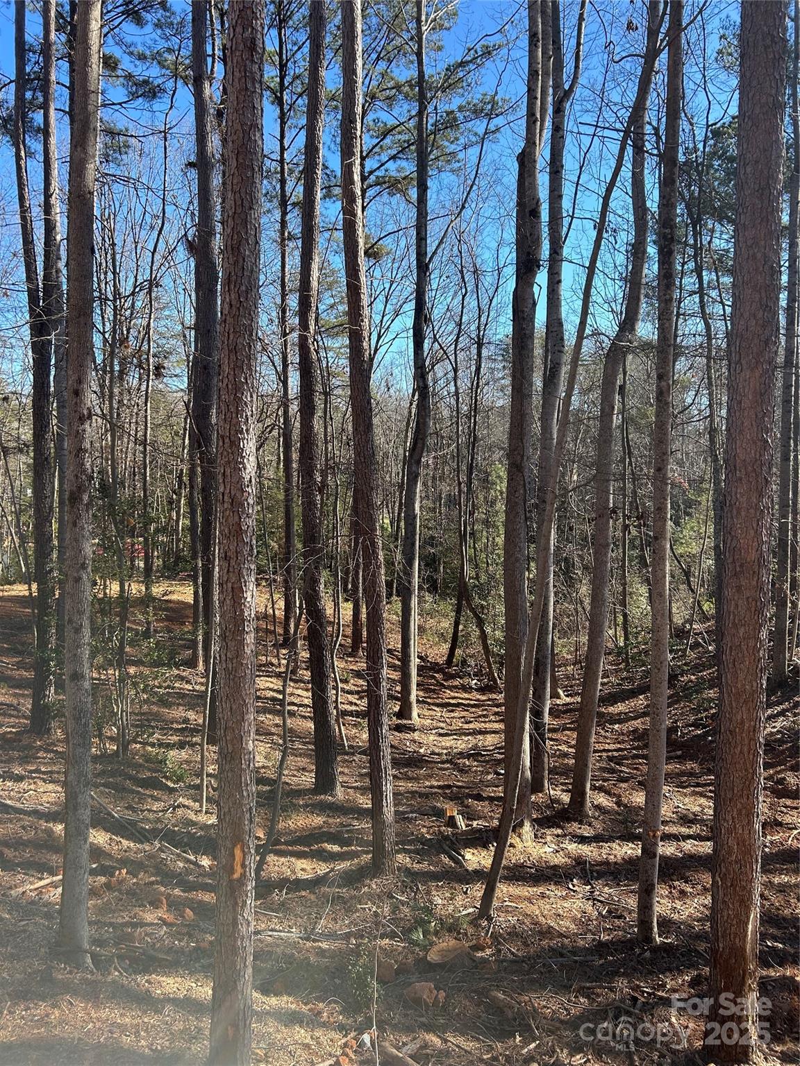 0 Spindrift Cove, Unit 59 Denver, NC 28037 - Photo 9 of 14