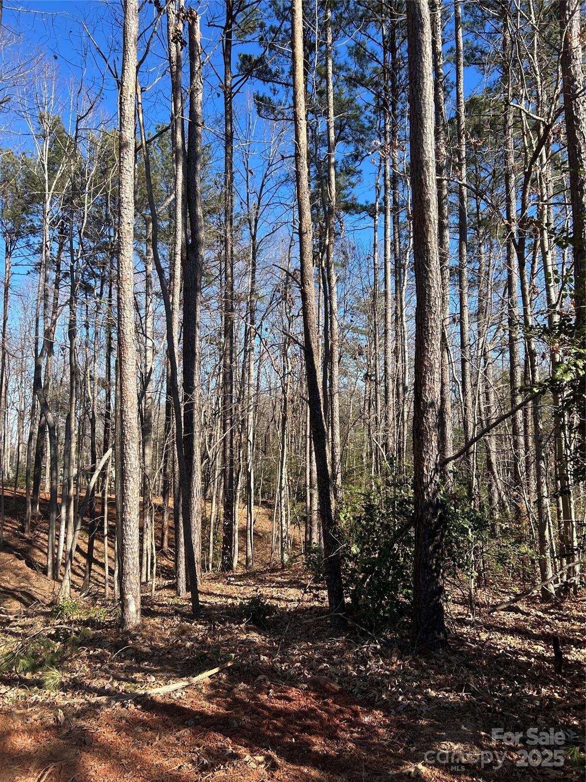 0 Spindrift Cove, Unit 59 Denver, NC 28037 - Photo 10 of 14