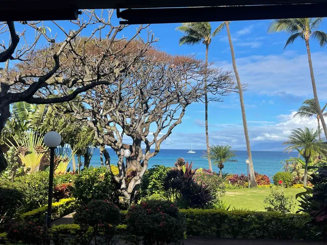 a view of a garden with an ocean