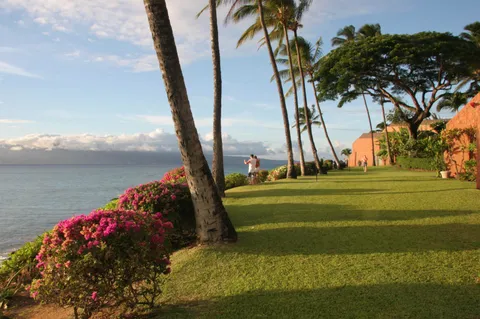 $649,000 | 3959 Lower Honoapiilani Road, Unit 503, Lahaina, HI 96761