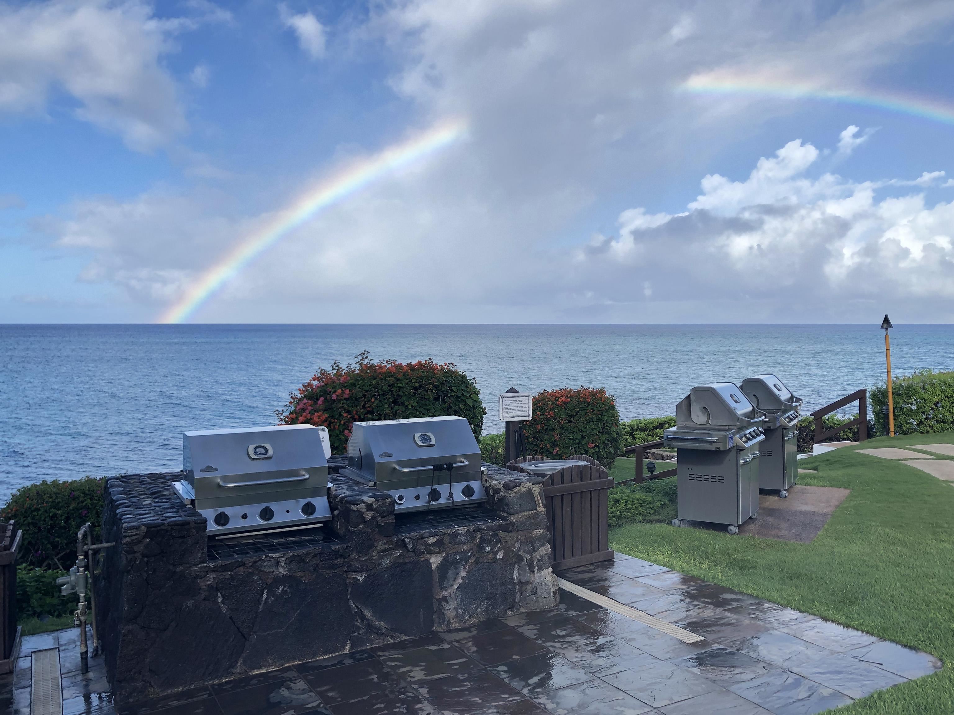 3959 Lower Honoapiilani Road, Unit 503 Lahaina, HI 96761 - Photo 42 of 47