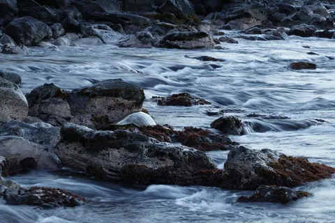 $649,000 | 3959 Lower Honoapiilani Road, Unit 503, Lahaina, HI 96761