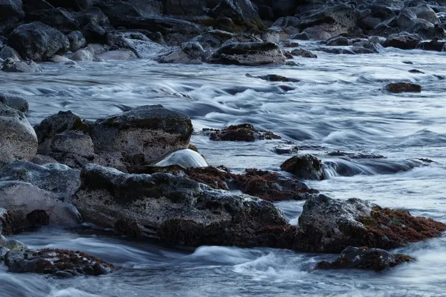 $649,000 | 3959 Lower Honoapiilani Road, Unit 503, Lahaina, HI 96761