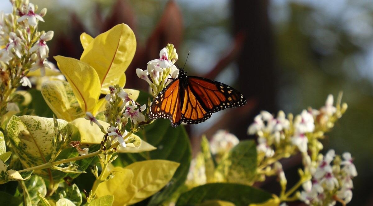 3959 Lower Honoapiilani Road, Unit 503 Lahaina, HI 96761 - Photo 45 of 47 a close up of a sink