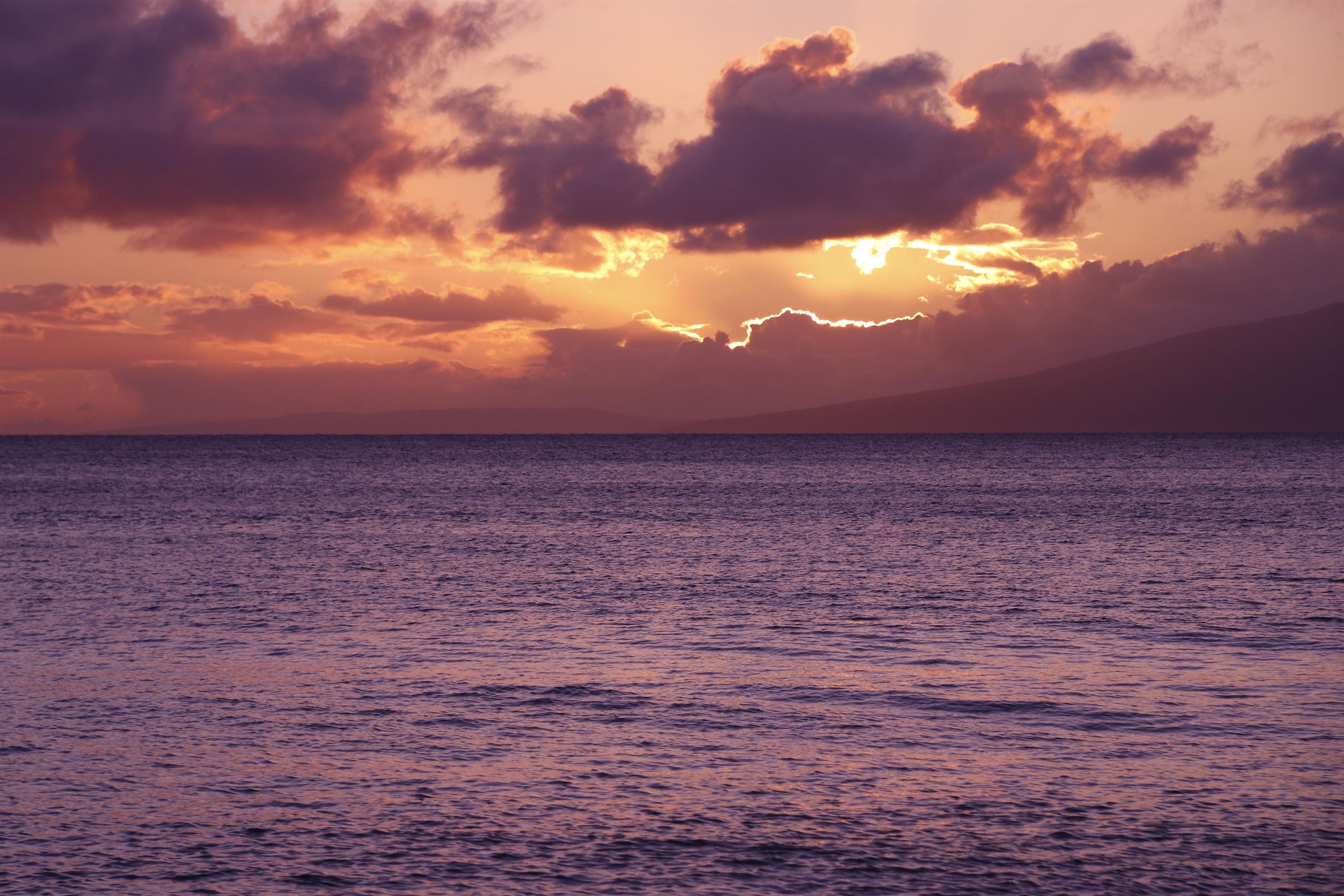 3959 Lower Honoapiilani Road, Unit 503 Lahaina, HI 96761 - Photo 47 of 47