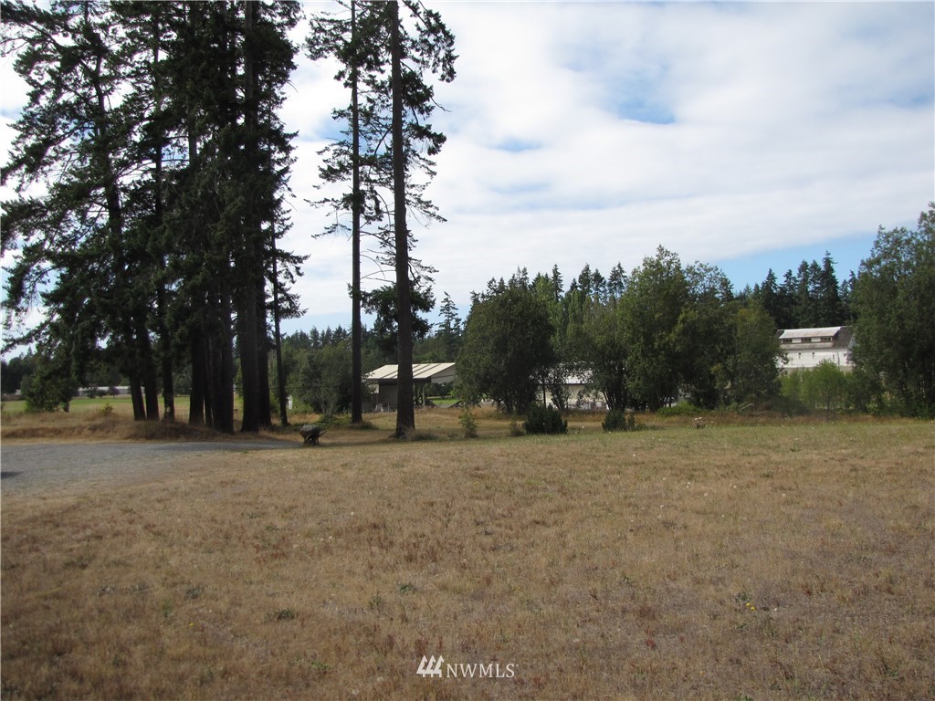 40 Levig Road Port Angeles, WA 98362 - Photo 8 of 25