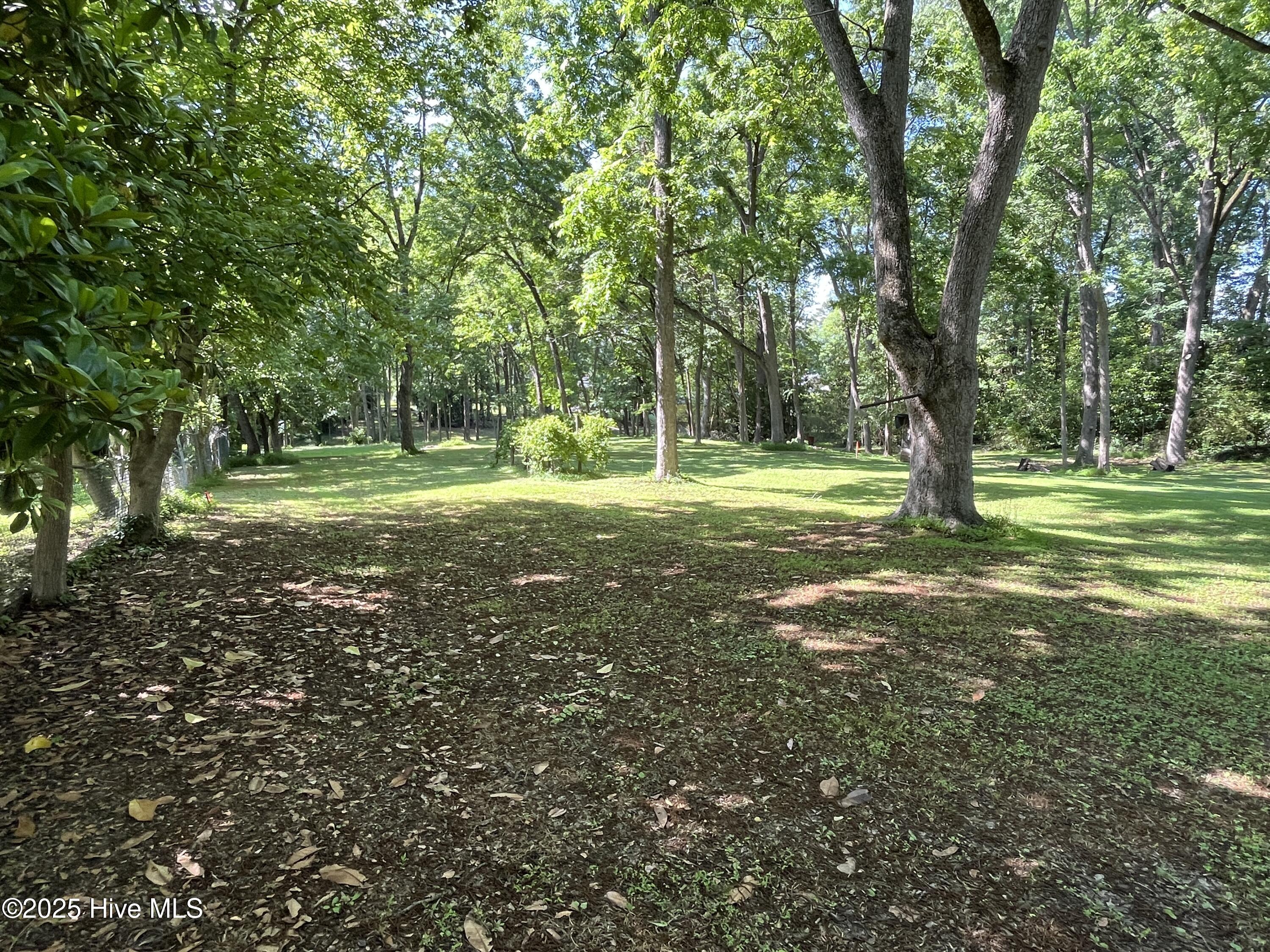 223 East Nash Street Spring Hope, NC 27882 - Photo 31 of 33 Backyard - 223 E Nash