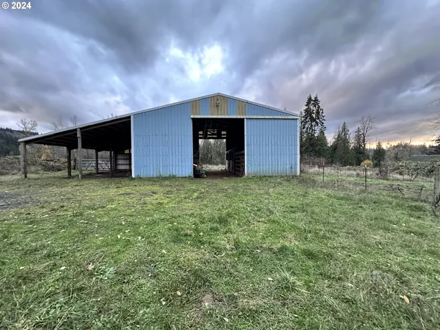 a backyard of a house with plants and large tree