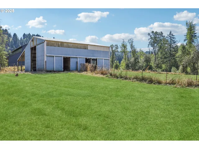 a black and white photo of a park