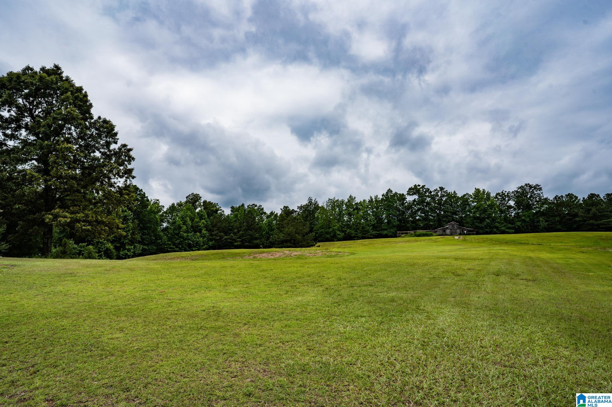 9677 Golden Lane Bessemer, AL 35023 - Photo 75 of 76