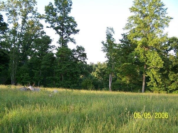 8725 North Buskirk Road Gosport, IN 47433 - Photo 3 of 11 Gallery Image 3