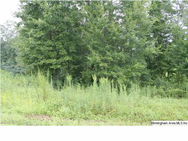 Hitching Post Circle, Unit 4 Cropwell, AL 35054 - Photo 2 of 3