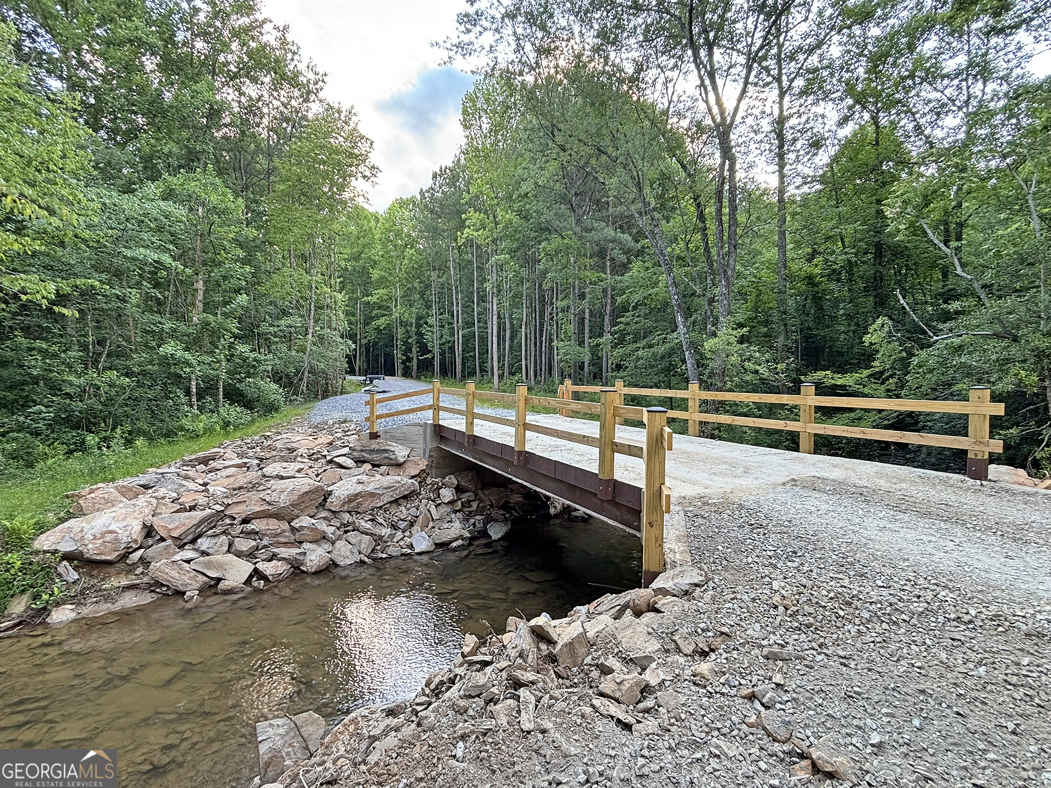 Lot 20 Mt Springer Road Ellijay, GA 30540 - Photo 4 of 32