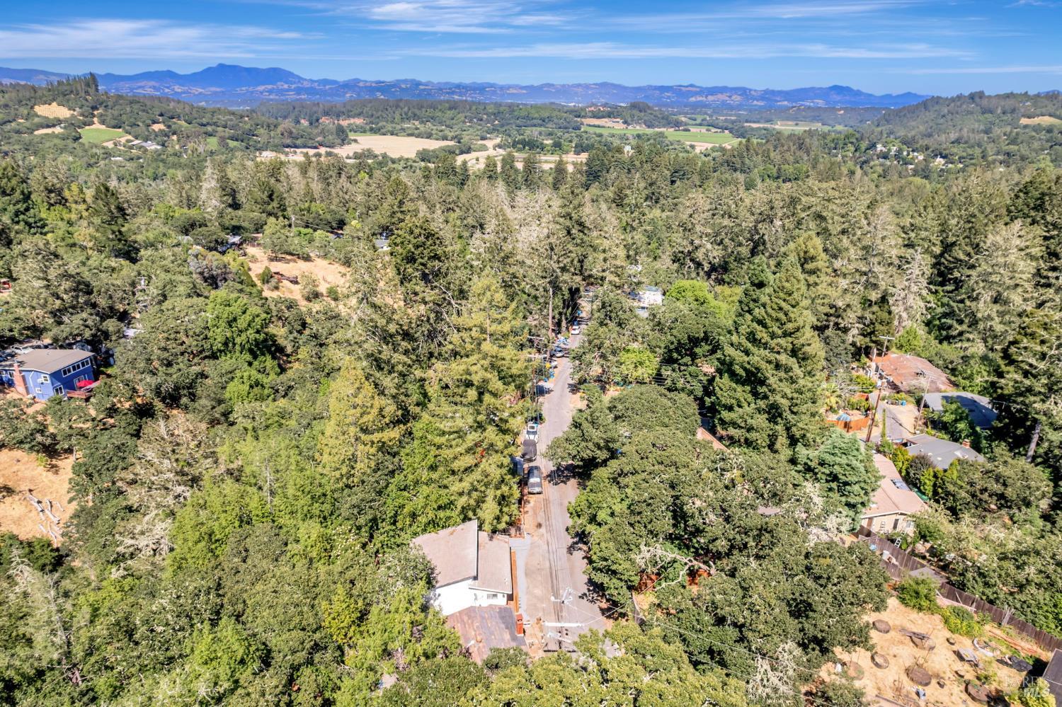 240 Vila Road Forestville, CA 95436 - Photo 36 of 38 Beautiful Forest Surroundings!