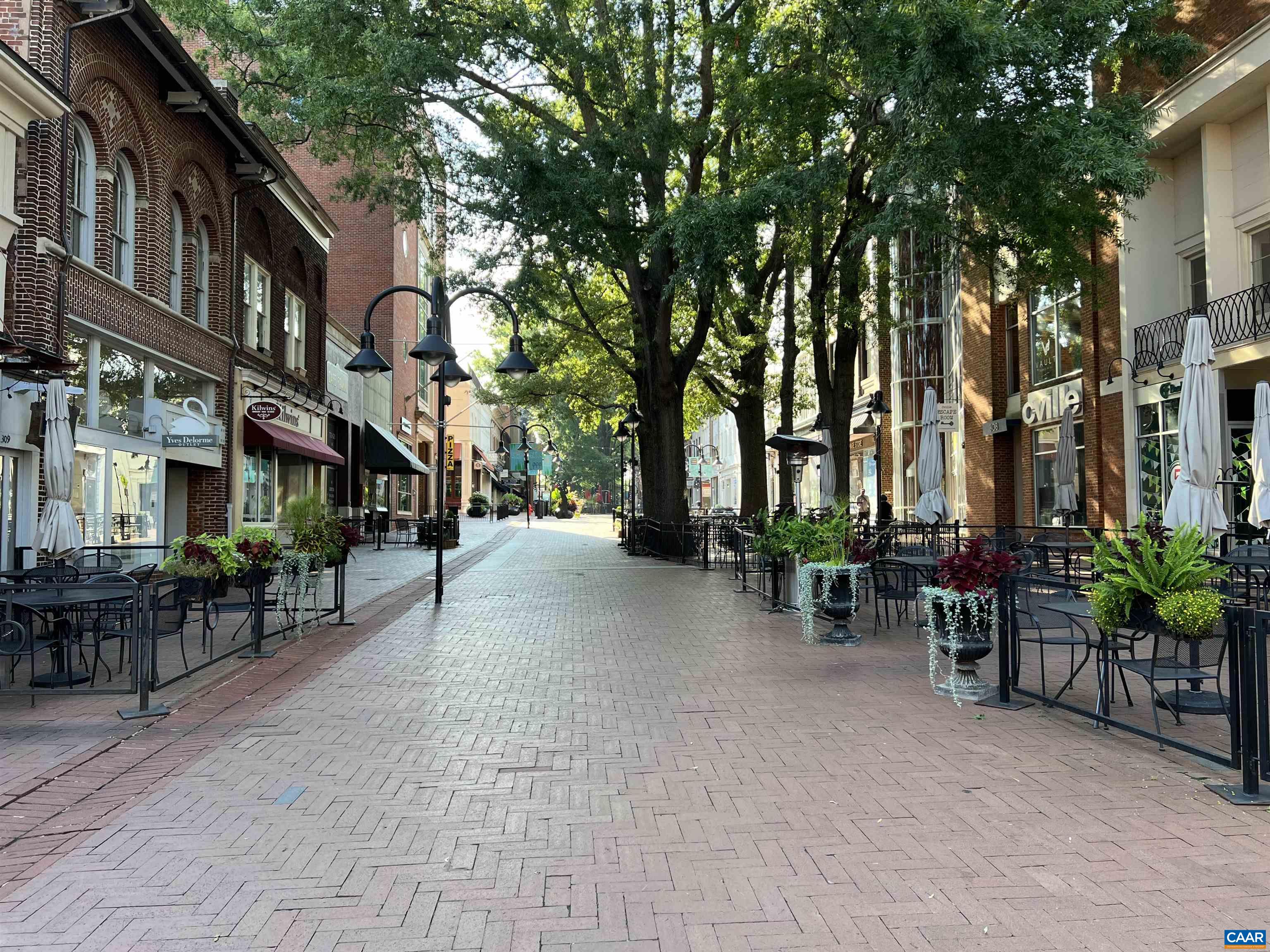 1931 Thomson Road, Unit B Charlottesville, VA 22903 - Photo 15 of 19