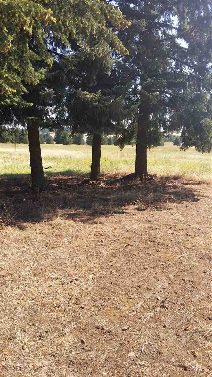 30404 North Short Road Deer Park, WA 99006 - Photo 4 of 20 Gallery Image 4