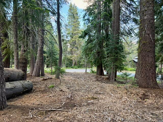 0 Quaking Aspen Road Arnold, CA 95223 - Photo 2 of 6