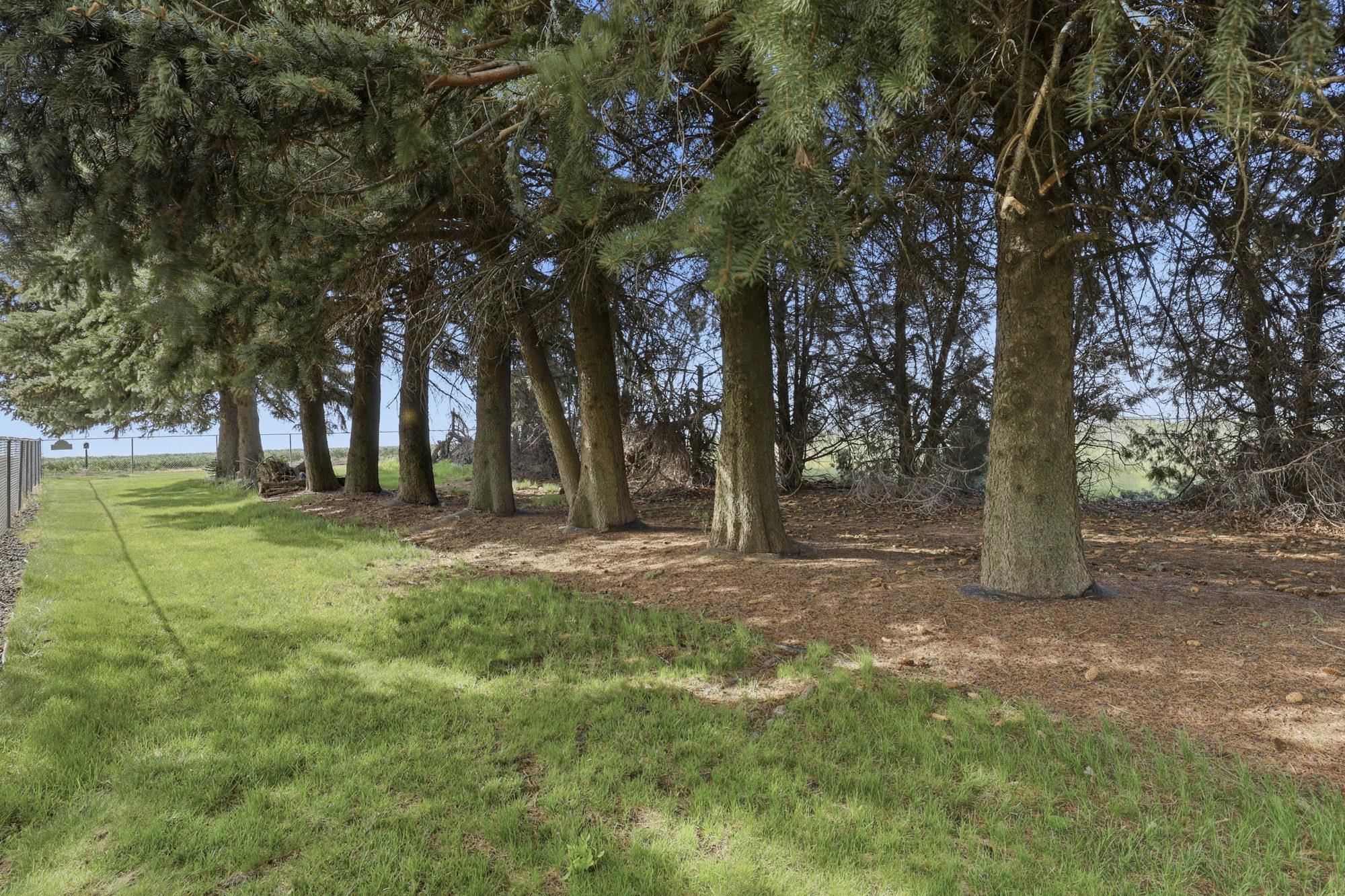 8634 State Route Sprague, WA 99032 - Photo 42 of 47