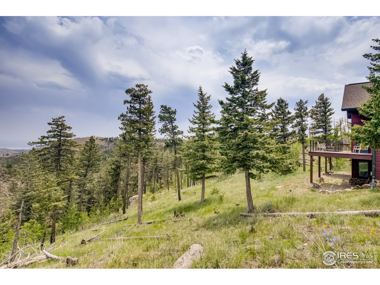 98 Rim Road Boulder, CO 80302 - Photo 26 of 31 a view of outdoor space with trees in the background