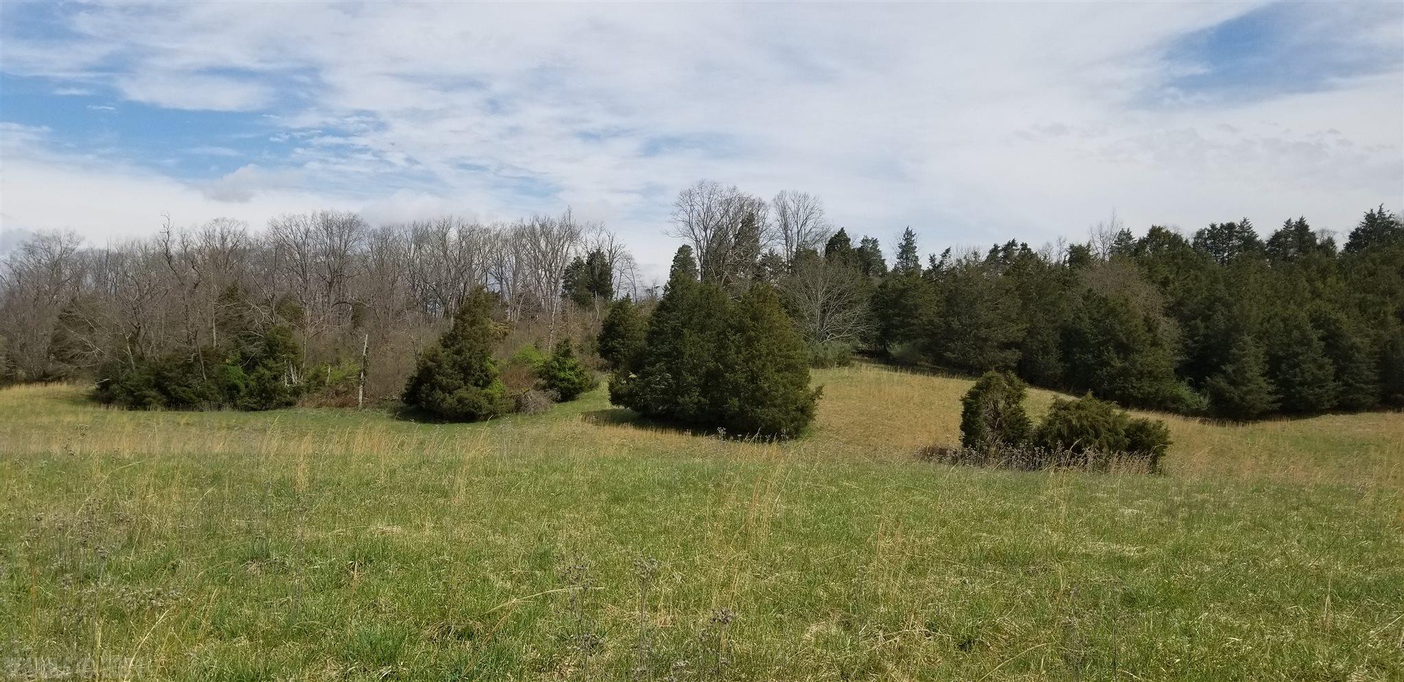 Lot 10 Hurston Road Pulaski, VA 24301 - Photo 5 of 15 Gallery Image 5
