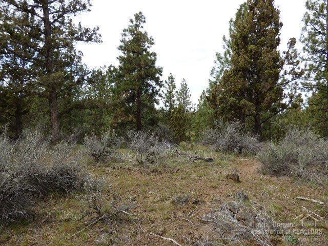 3202 McClellan Road Bend, OR 97702 - Photo 10 of 25 a view of a covered with lots of trees