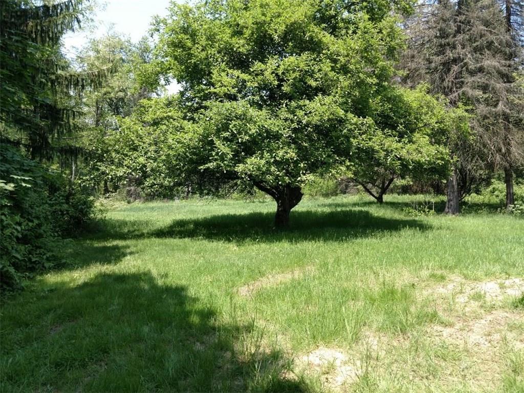 466 Beaver Street Rochester, PA 15074 - Photo 9 of 9 Watch nature, listen to the turkeys living next door.. Or simply build your dream home on these 6.557 acres..