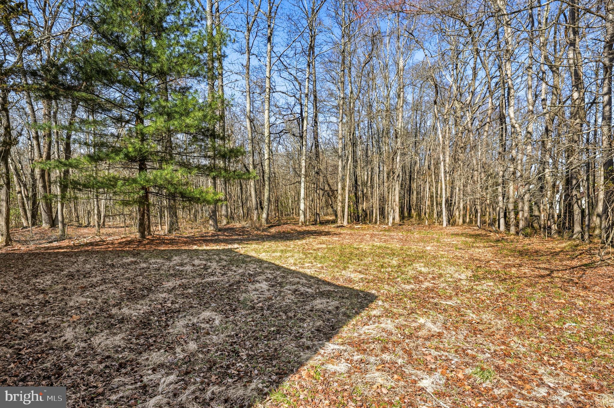 122-124 Taunton Road Medford, NJ 08055 - Photo 11 of 30