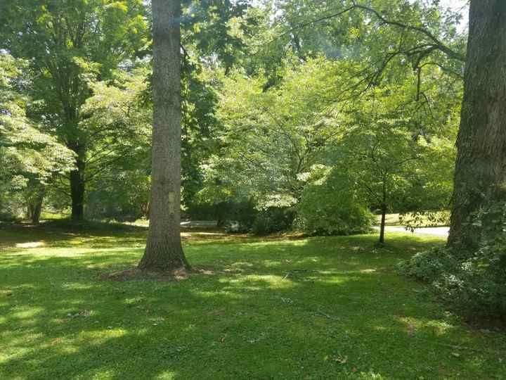 672 Webster Road Harriman, TN 37748 - Photo 30 of 39 Resized952019070195130112