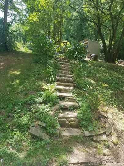 672 Webster Road Harriman, TN 37748 - Photo 31 of 39 Resized952019070195130549