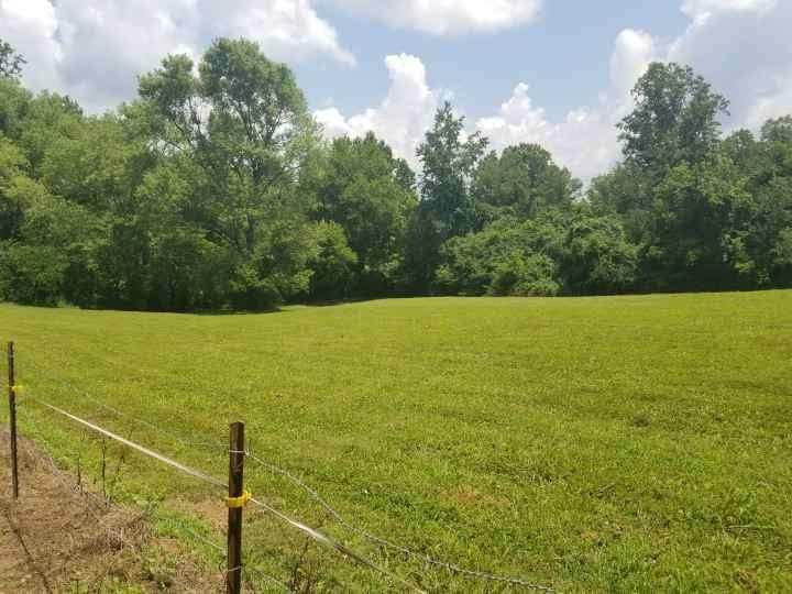 672 Webster Road Harriman, TN 37748 - Photo 33 of 39 Resized952019070195130751