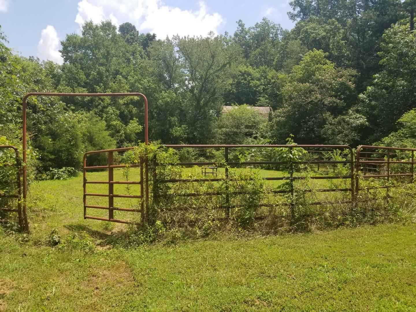 672 Webster Road Harriman, TN 37748 - Photo 36 of 39 Resized952019070195130842