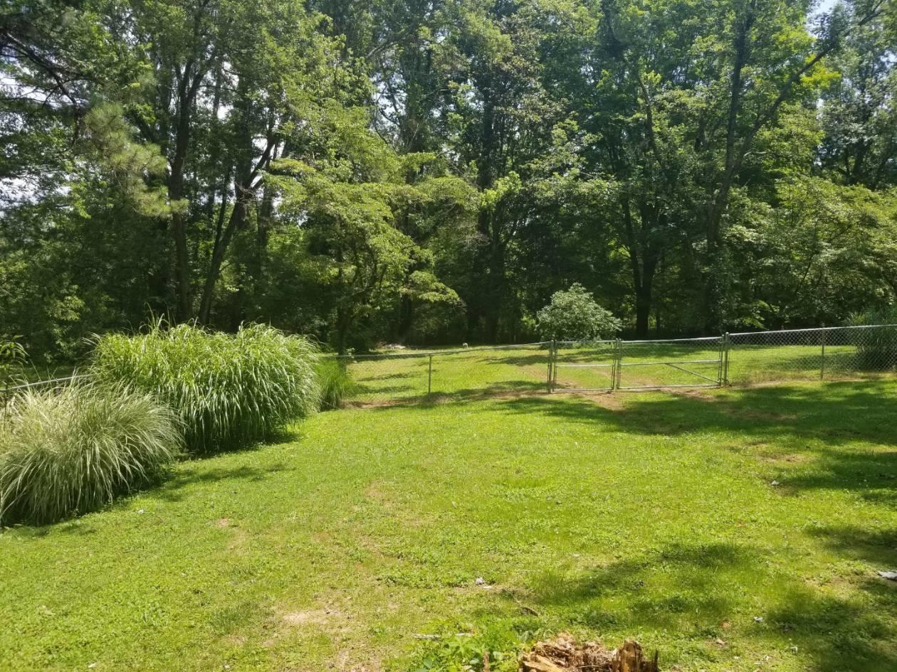 672 Webster Road Harriman, TN 37748 - Photo 37 of 39 Resized952019070195130254