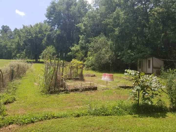 672 Webster Road Harriman, TN 37748 - Photo 38 of 39 Resized952019070195130627