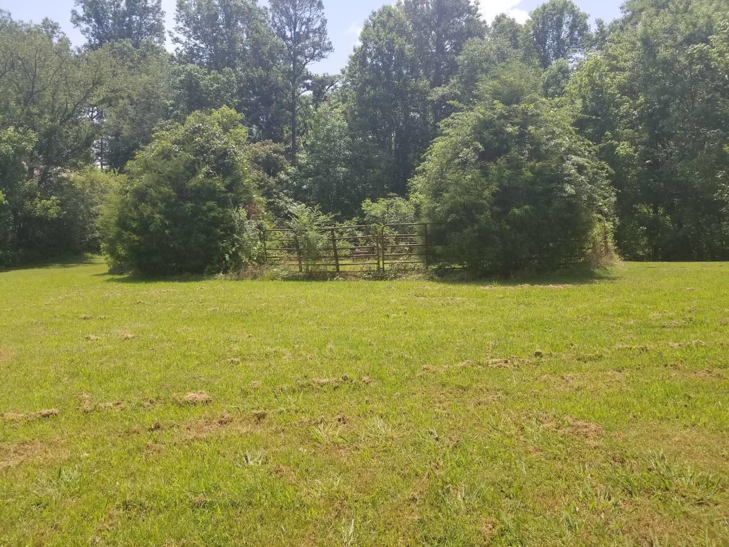 672 Webster Road Harriman, TN 37748 - Photo 39 of 39 Resized952019070195130822