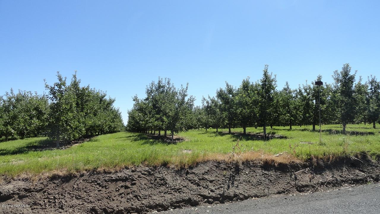 611 North Mize Road Yakima, WA 98908 - Photo 5 of 9 a view of a park with large trees