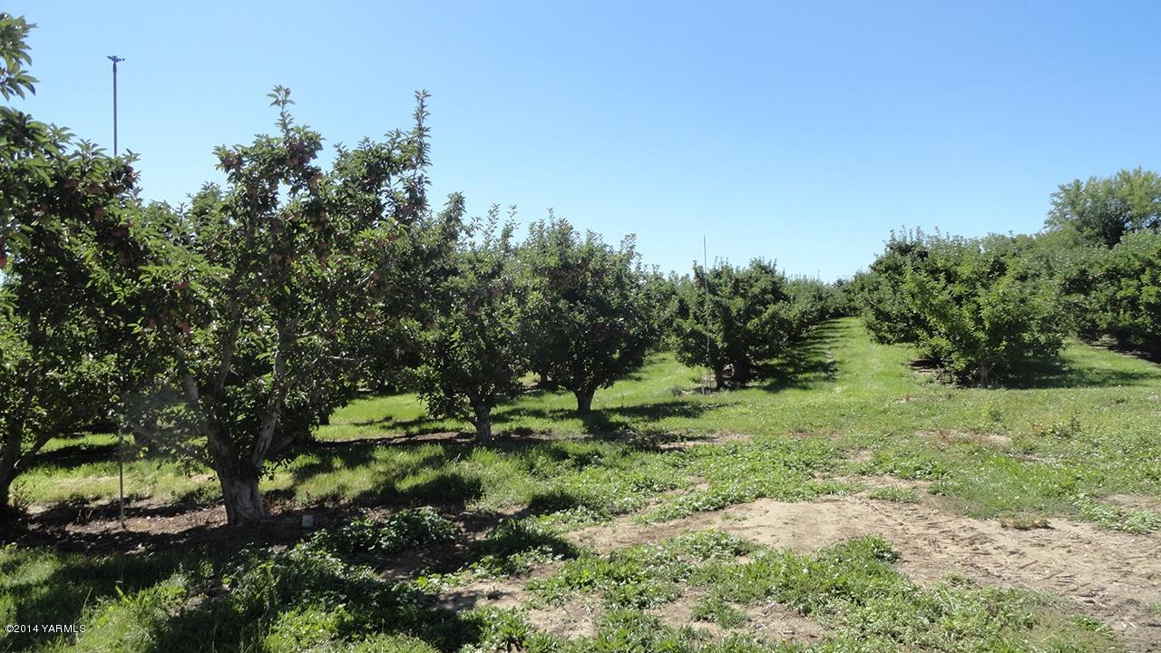611 North Mize Road Yakima, WA 98908 - Photo 6 of 9 a big yard with lots of green space