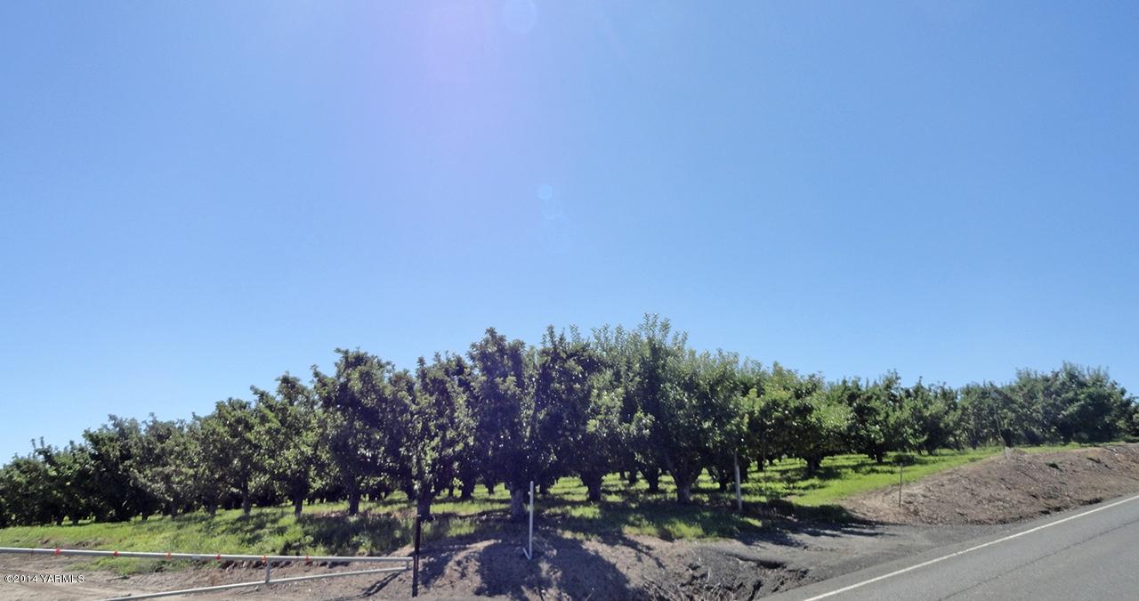 611 North Mize Road Yakima, WA 98908 - Photo 7 of 9 a view of a yard with a tree