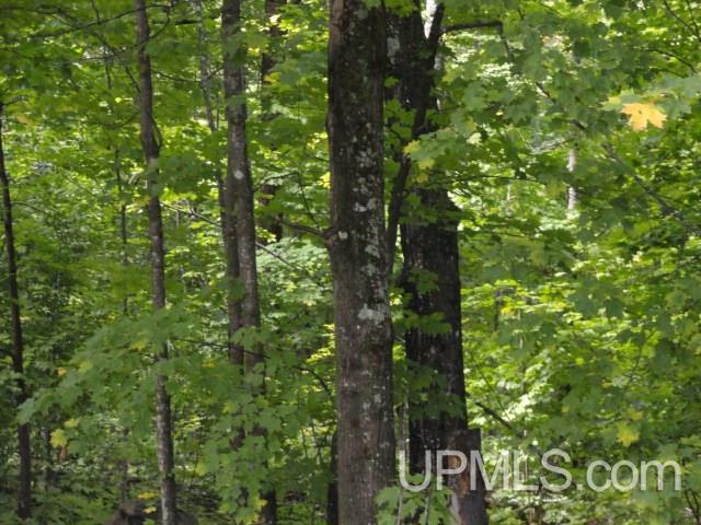 25404 West Kemppainen Road Covington, MI 49919 - Photo 9 of 17