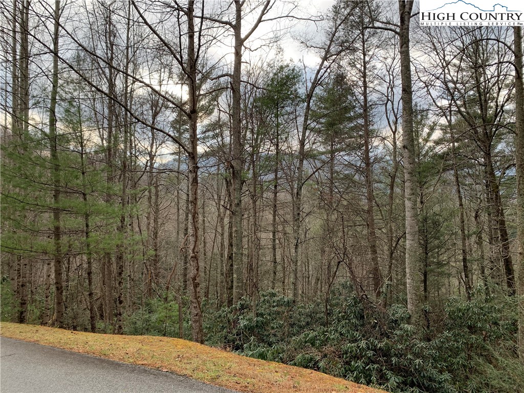 Hope Town Road Vilas, NC 28692 - Photo 6 of 11