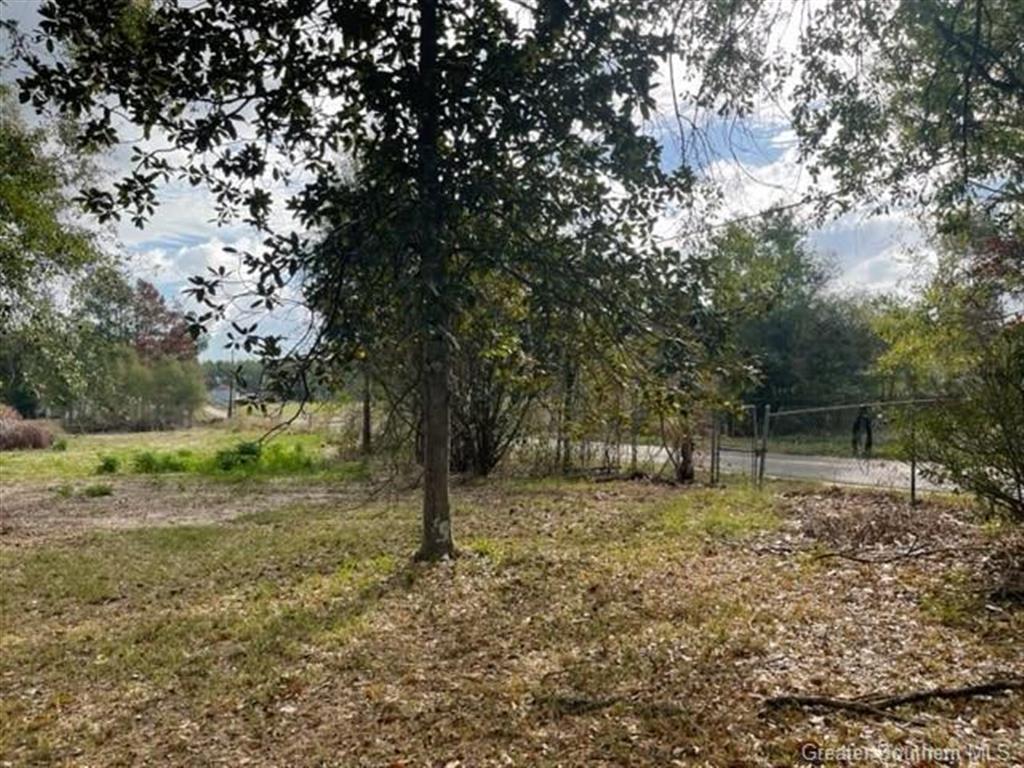 709 Hauser Road Deridder, LA 70634 - Photo 12 of 13