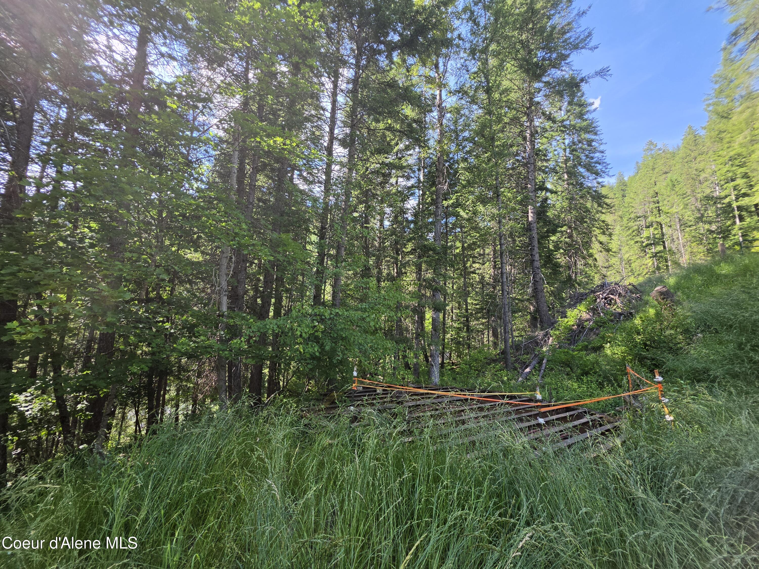 480 Dunn Peak Road Avery, ID 83802 - Photo 22 of 66 1st Building Site