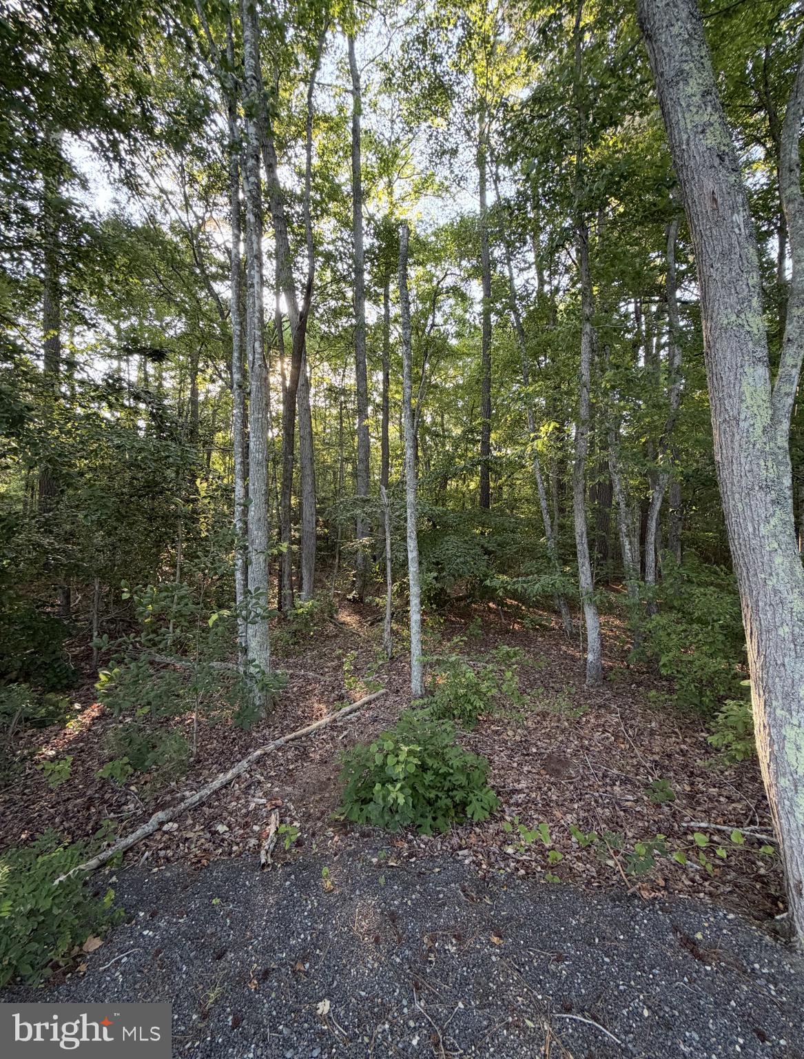 0 Anderson Road Princess Anne, MD 21853 - Photo 22 of 27