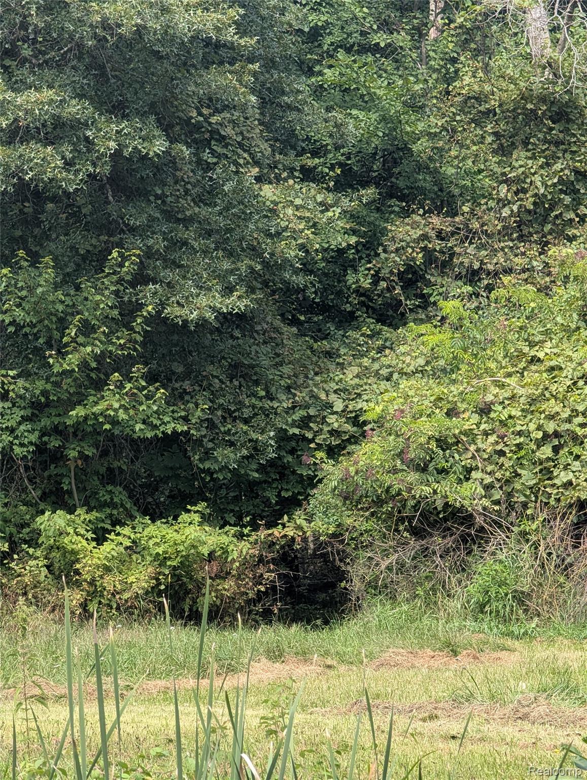 0 South Maywood Road Ashley, MI 48806 - Photo 32 of 32 PXL_20250829_183338201.MP.jpg