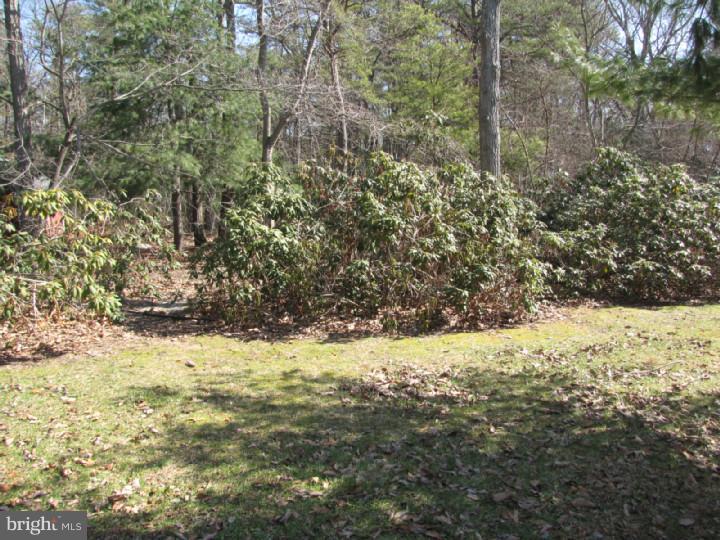 544 Kettle Run Road Marlton, NJ 08053 - Photo 21 of 25 Back Yard