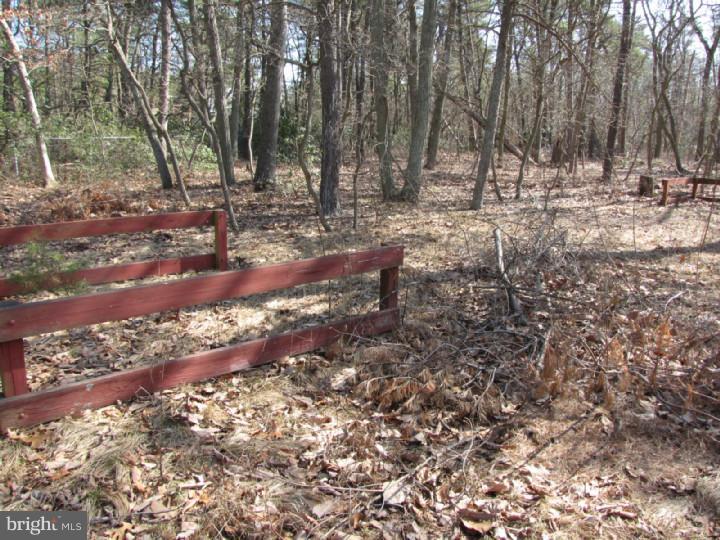 544 Kettle Run Road Marlton, NJ 08053 - Photo 23 of 25 Back Yard