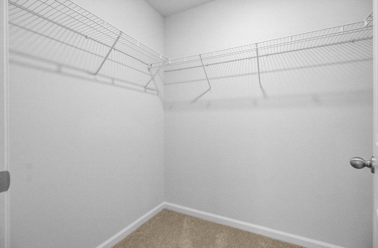 407 Spruce Ivy Street Moncks Corner, SC 29461 - Photo 24 of 54 22