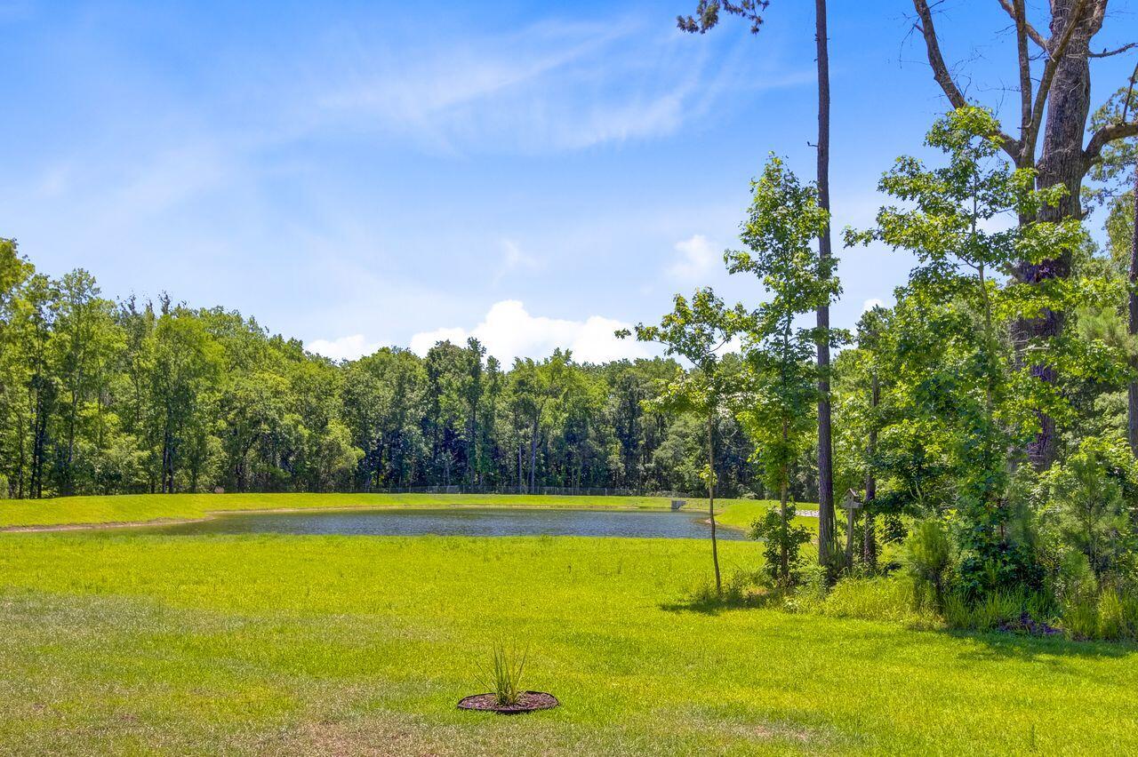 407 Spruce Ivy Street Moncks Corner, SC 29461 - Photo 38 of 54 35